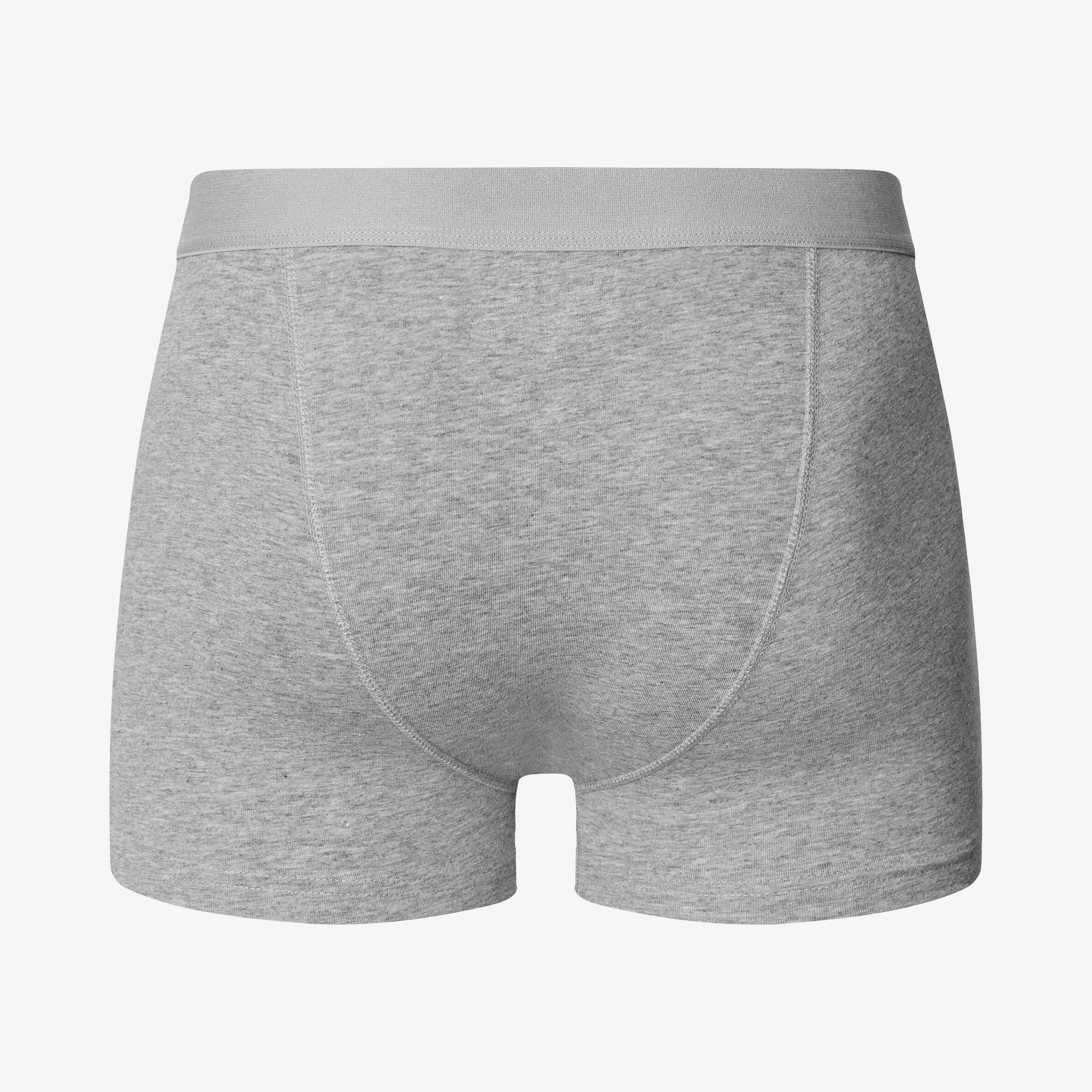Grey Boxer Brief underpants made of organic cotton and elastane - Bread ...